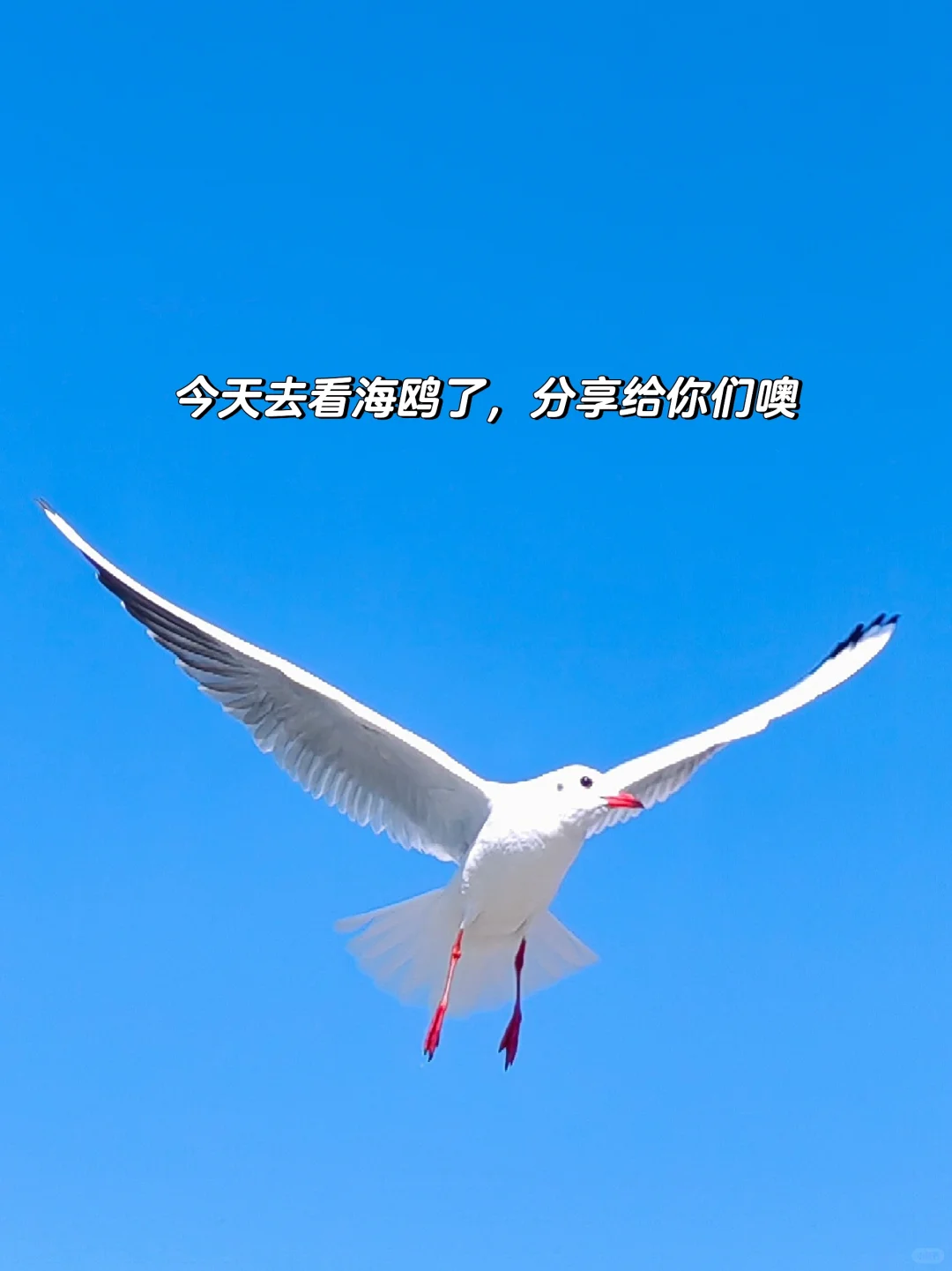 早起 运动 读书, 才是最低成本的进步方式