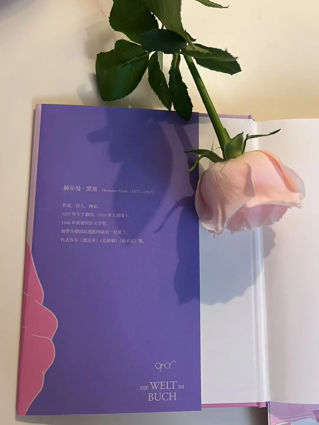 黑塞带你开启灵魂的深度对话：选择阅读