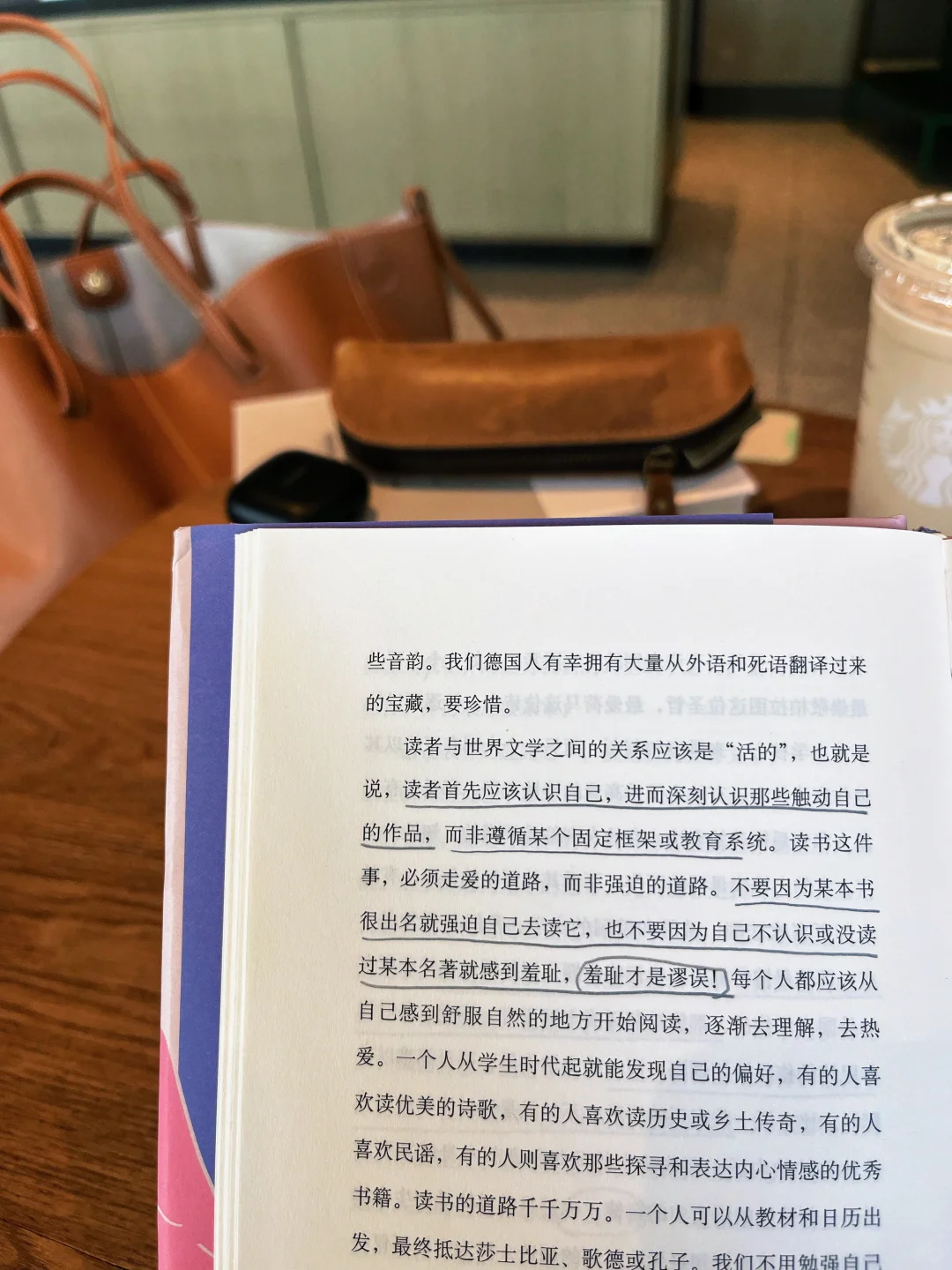 谢谢黑塞！治好了我的阅读焦虑