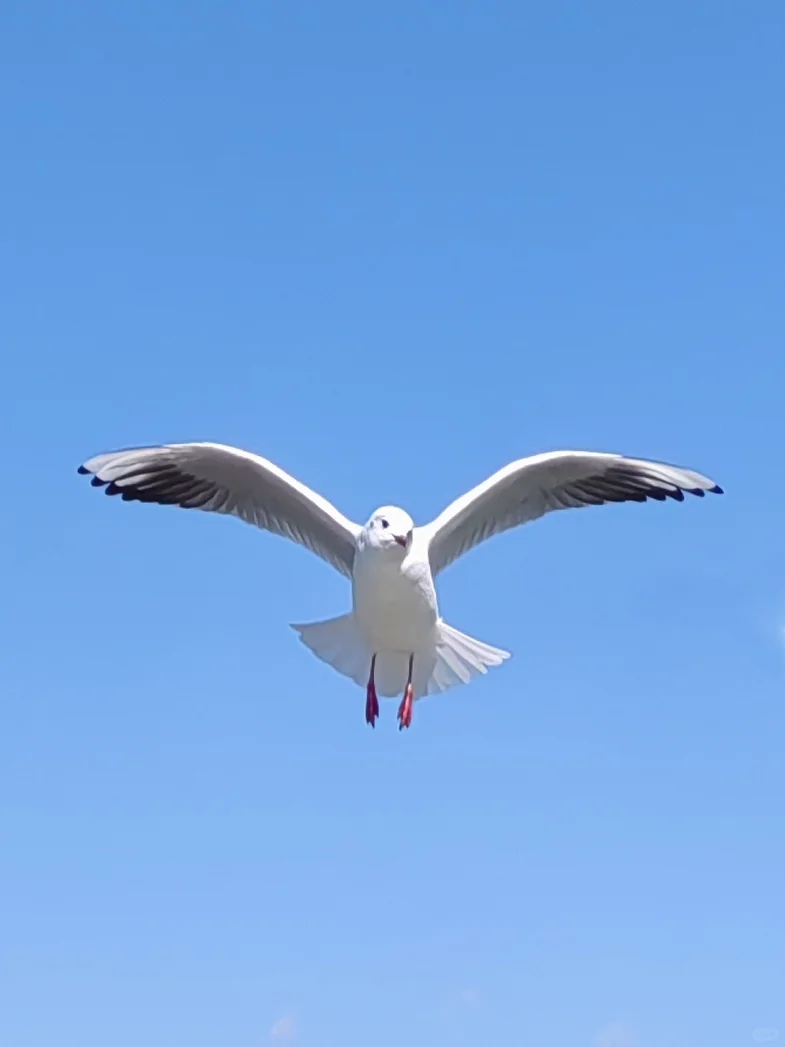 早起 运动 读书, 才是最低成本的进步方式