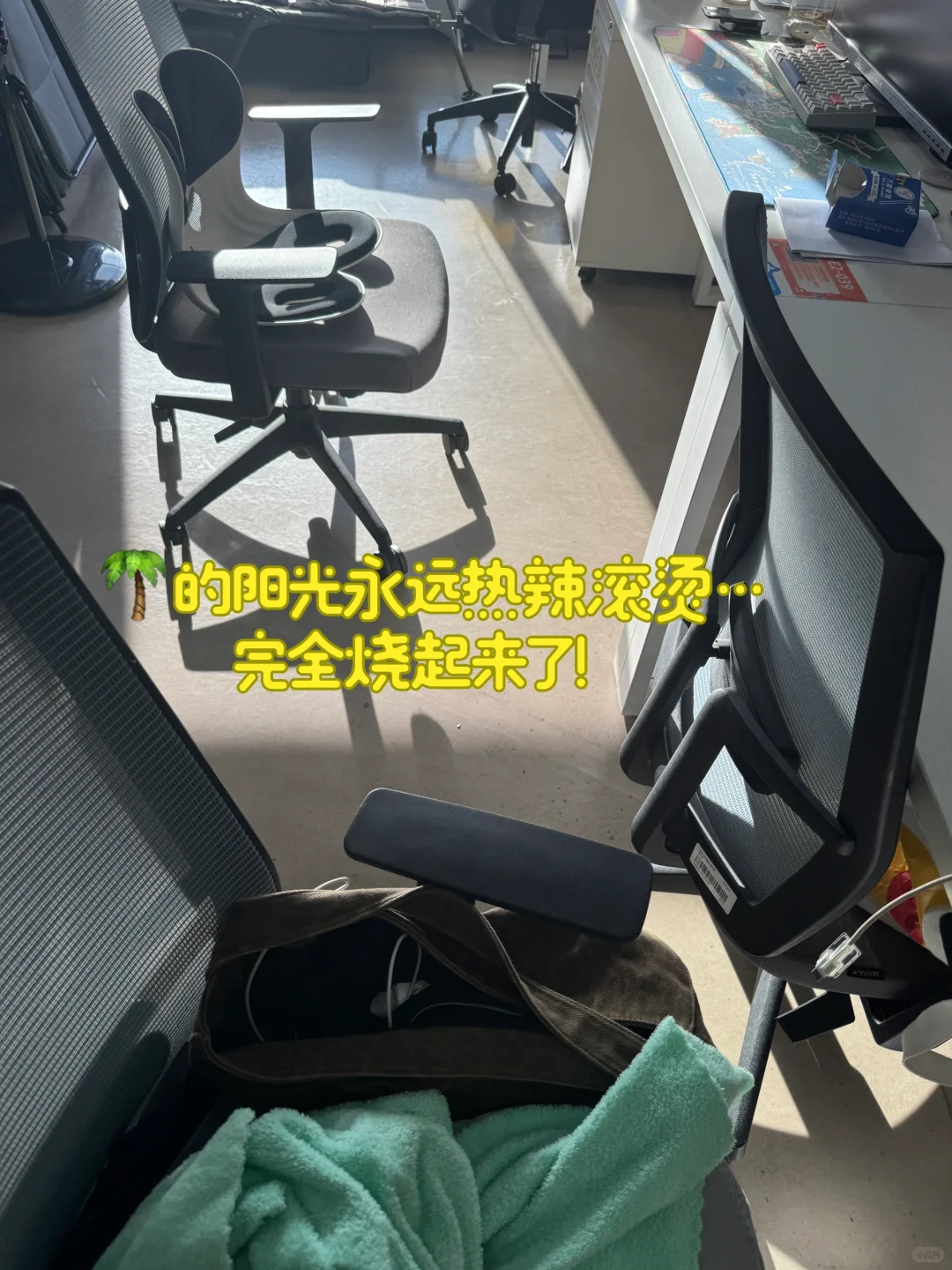出岛读书211黄花闺女以台风之势回归…