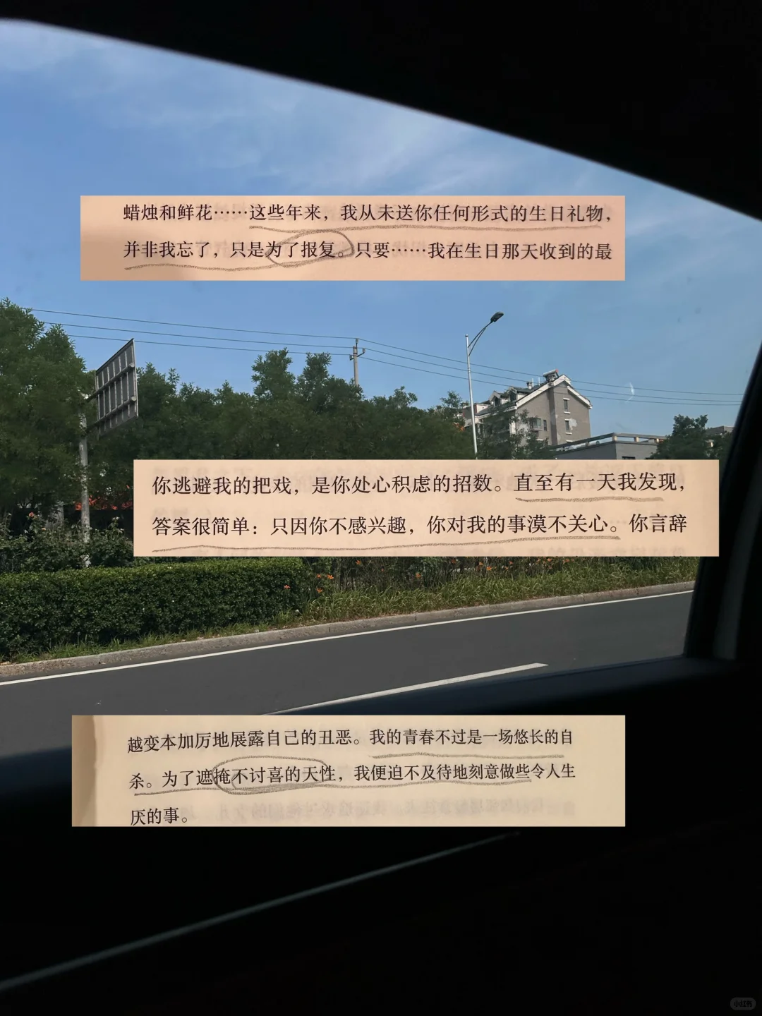 我不停地读书，只是为了让自己变得平静