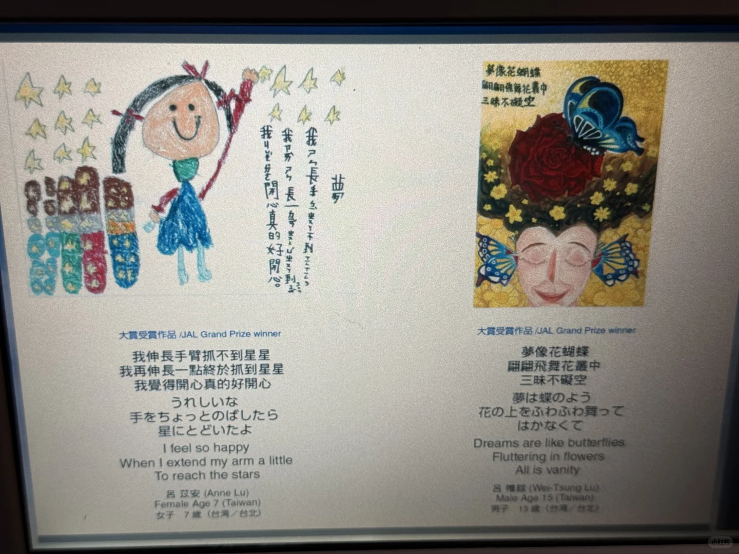 你读过飞机上的电子书吗