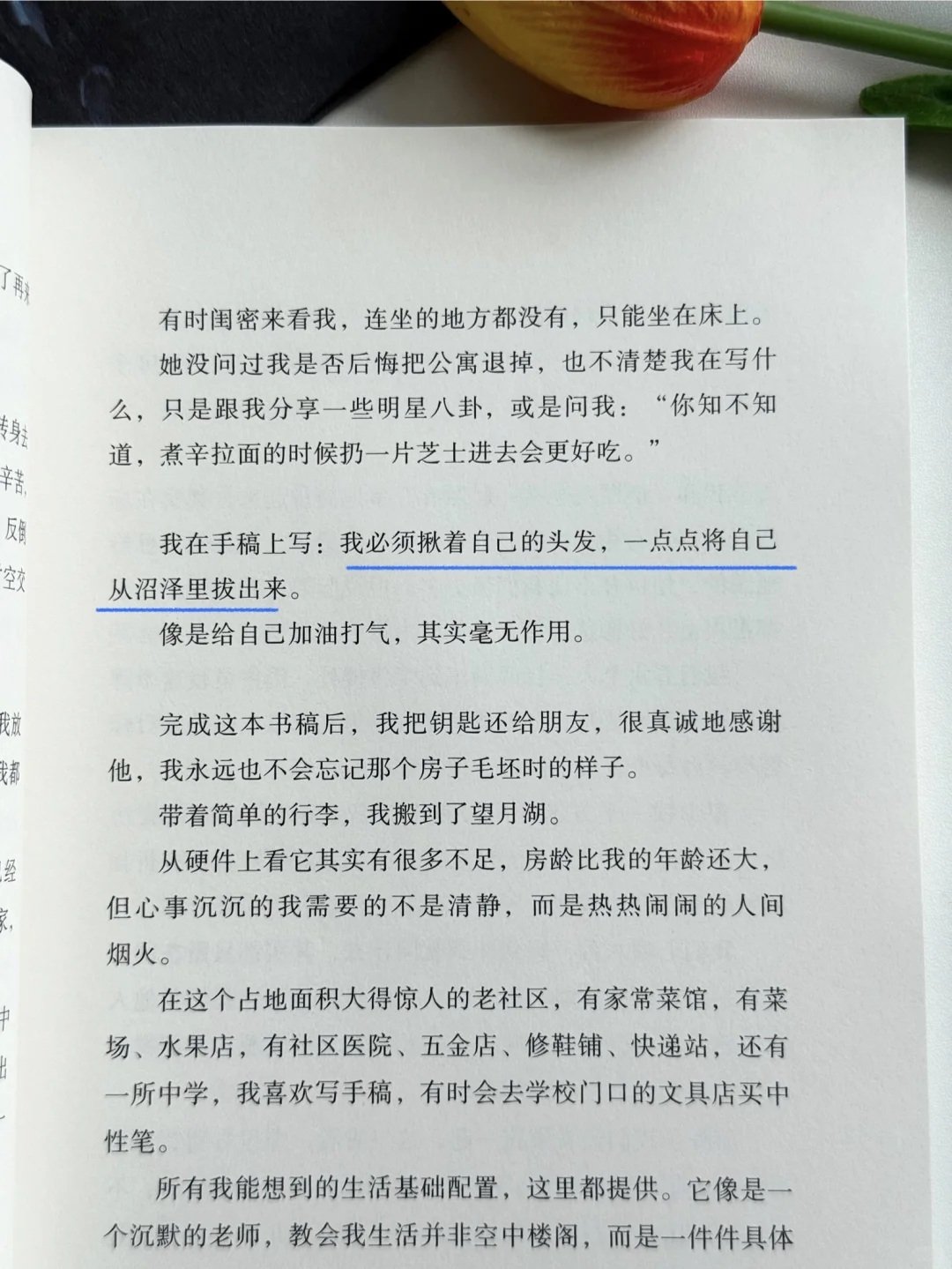 独而不独，原来是最好的状态！