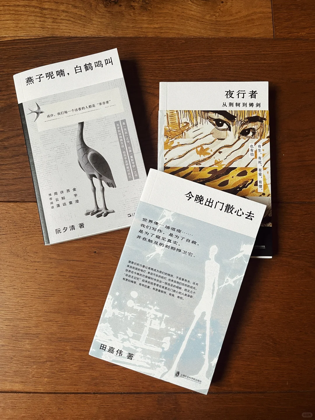 与文库本有关的自由联想