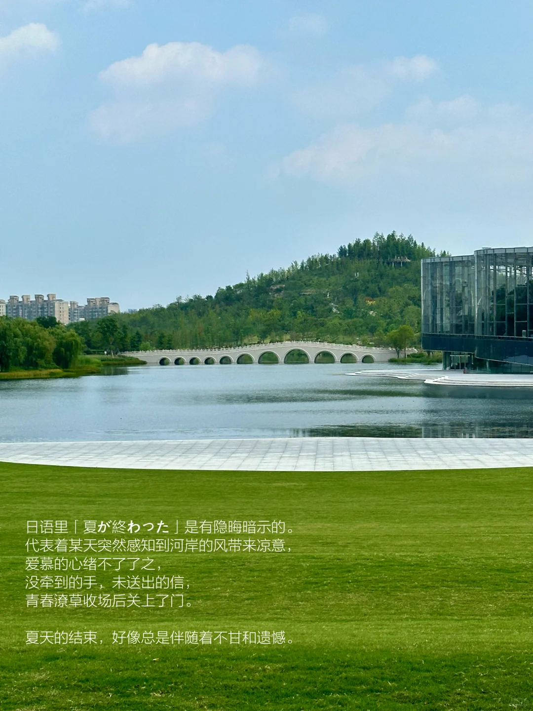 坐在草坪上阅读的休息日