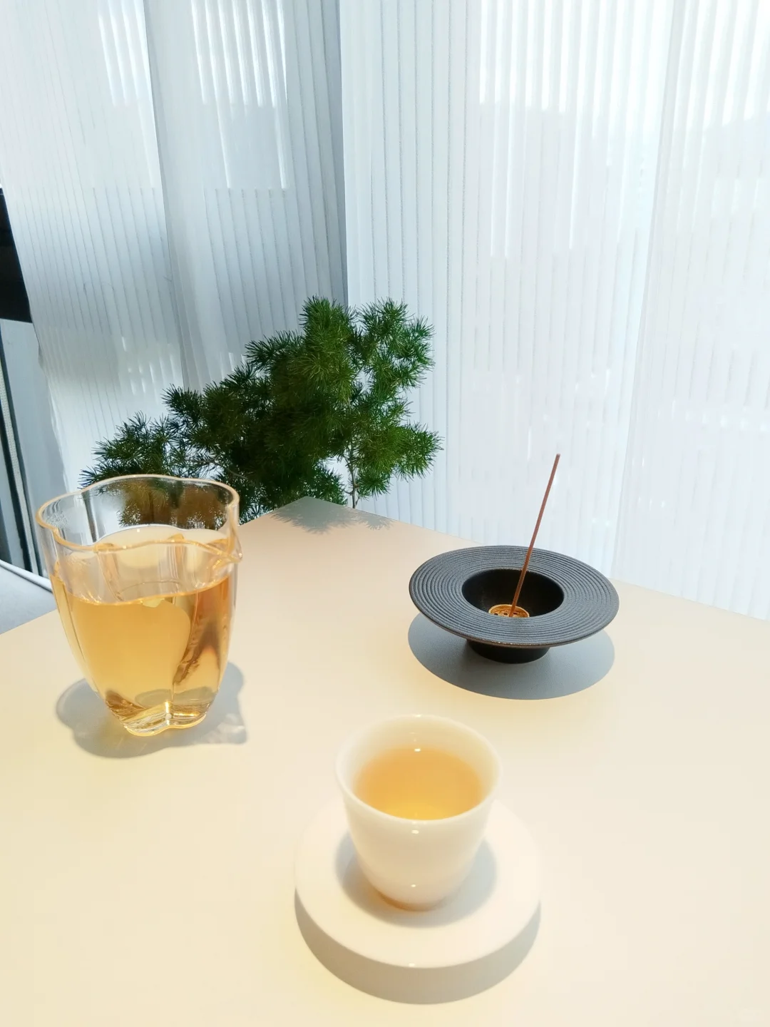 读书 喝茶 独处让我更自由了