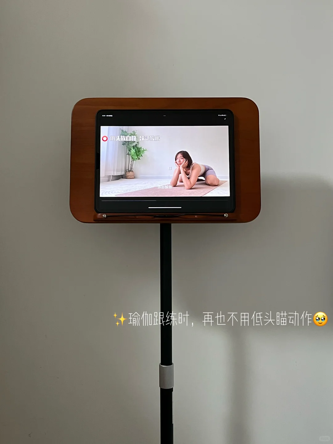 挖到宝啦✨解锁落地阅读架的8大用法🙋‍♀️
