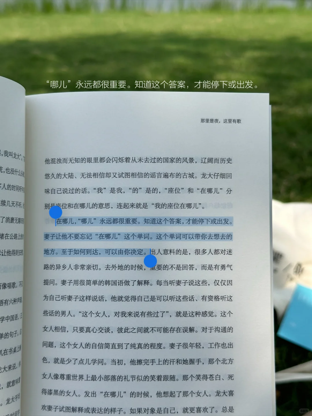 坐在草坪上阅读的休息日