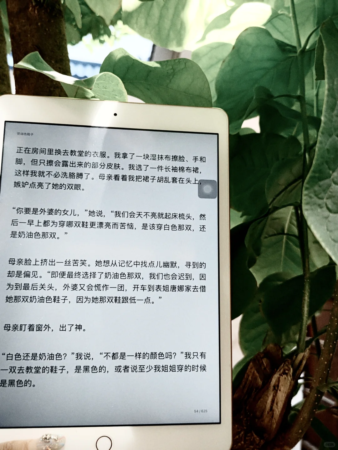 实现电子书自由，我的精神世界在狂飙🚀