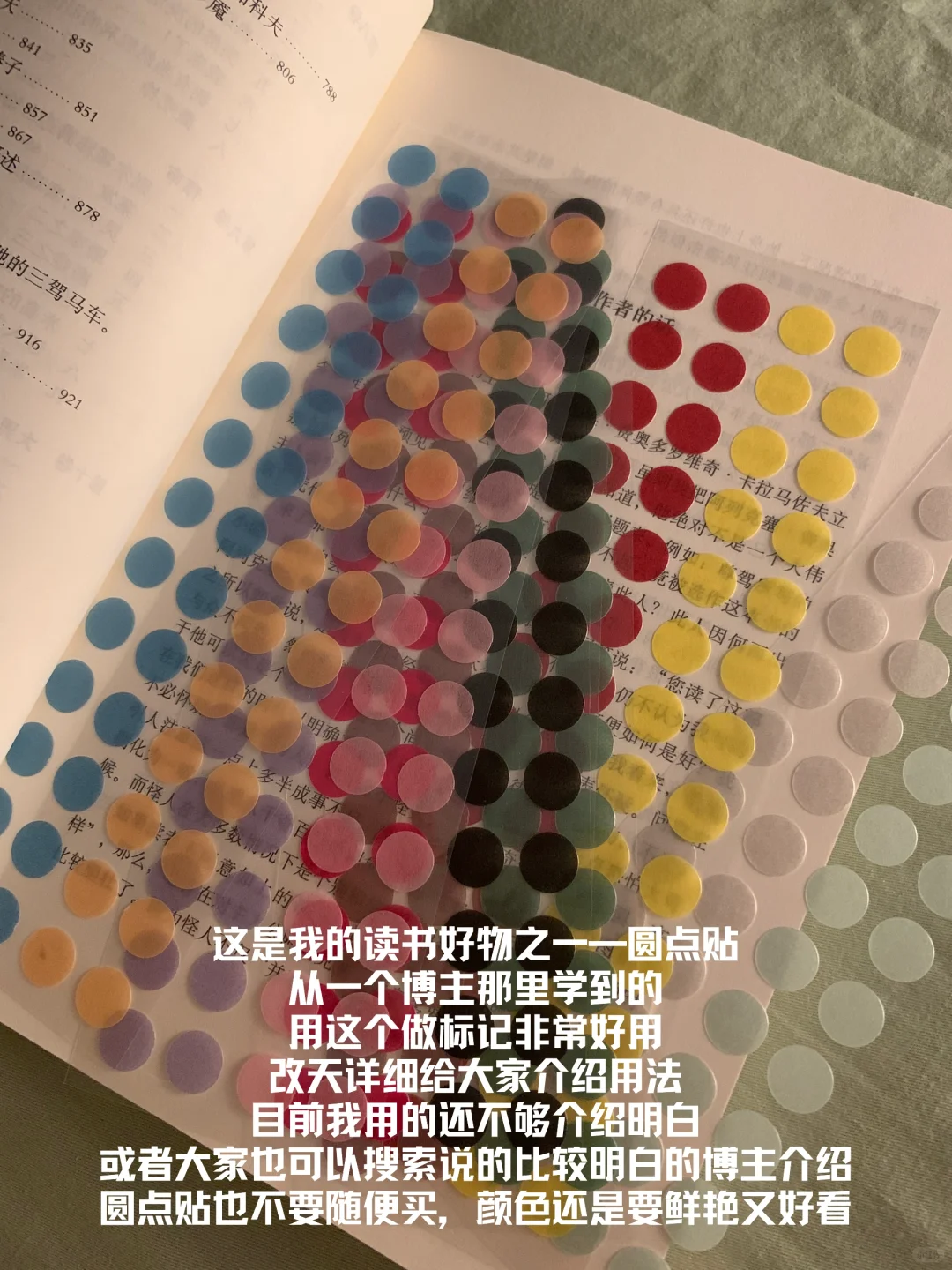 读书plog：我的读书搭子（好用物）