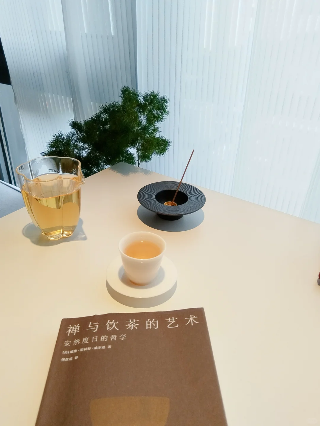 读书 喝茶 独处让我更自由了