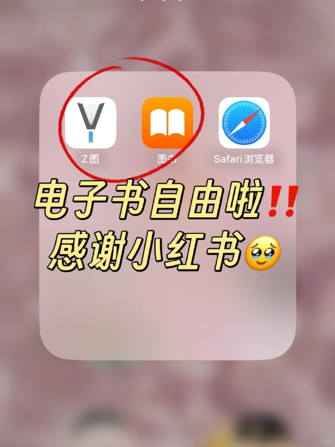 iPad隐藏技巧｜Zlib+图书=电子书自由🔥