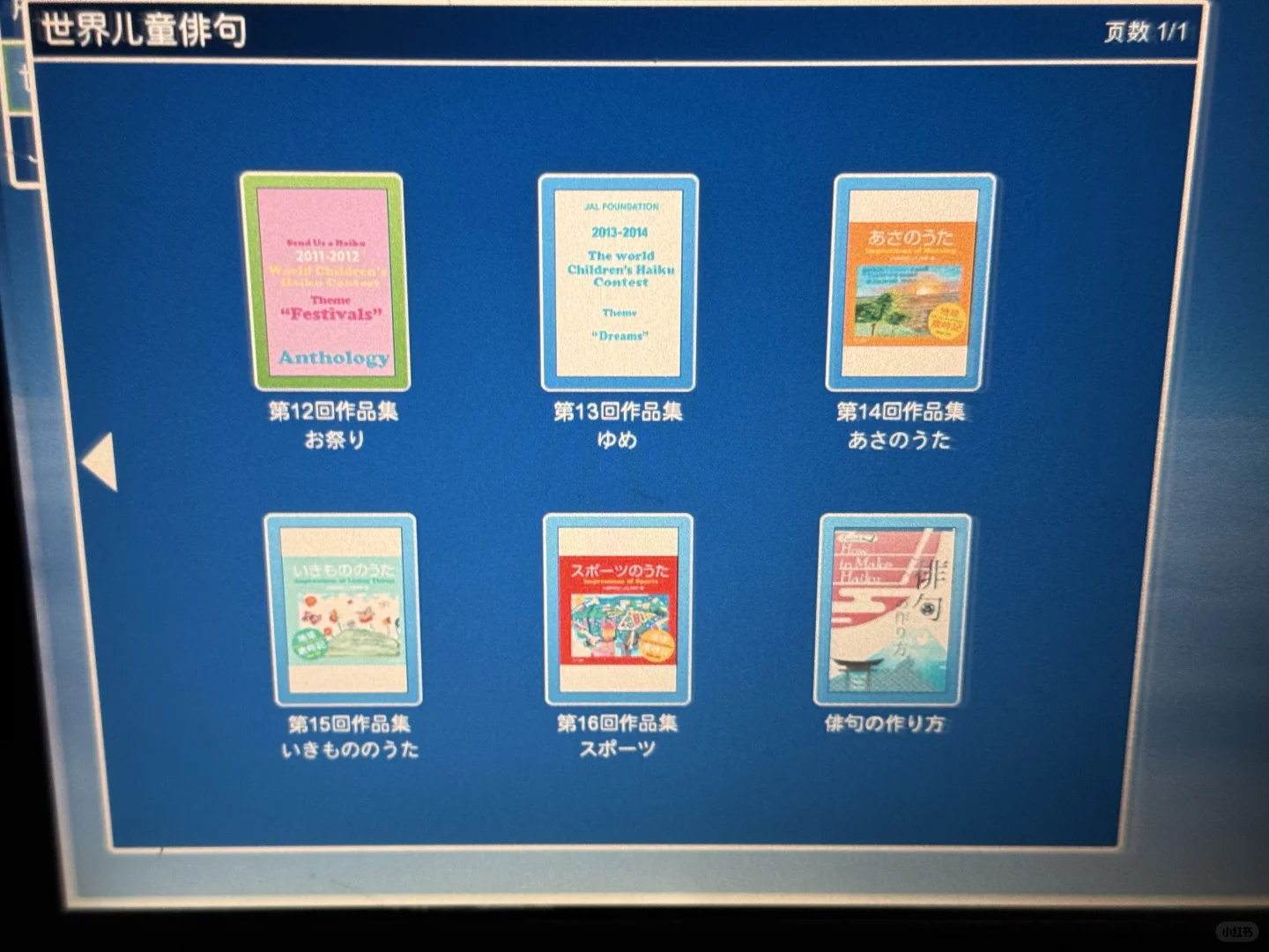 你读过飞机上的电子书吗