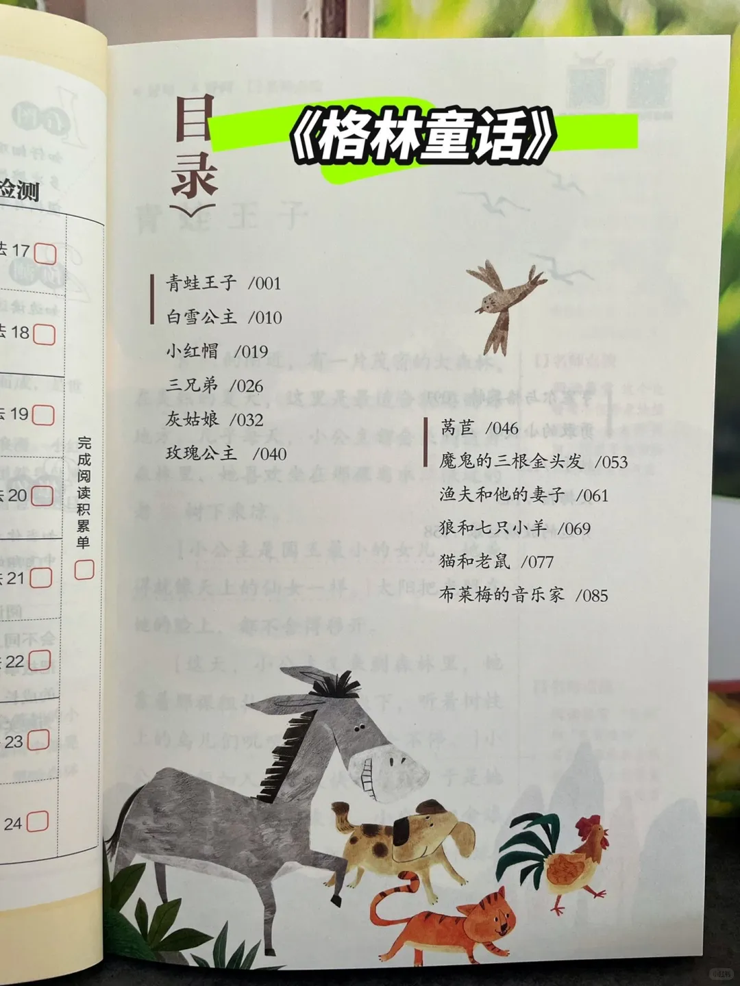 轻松开启阅读之旅🚀