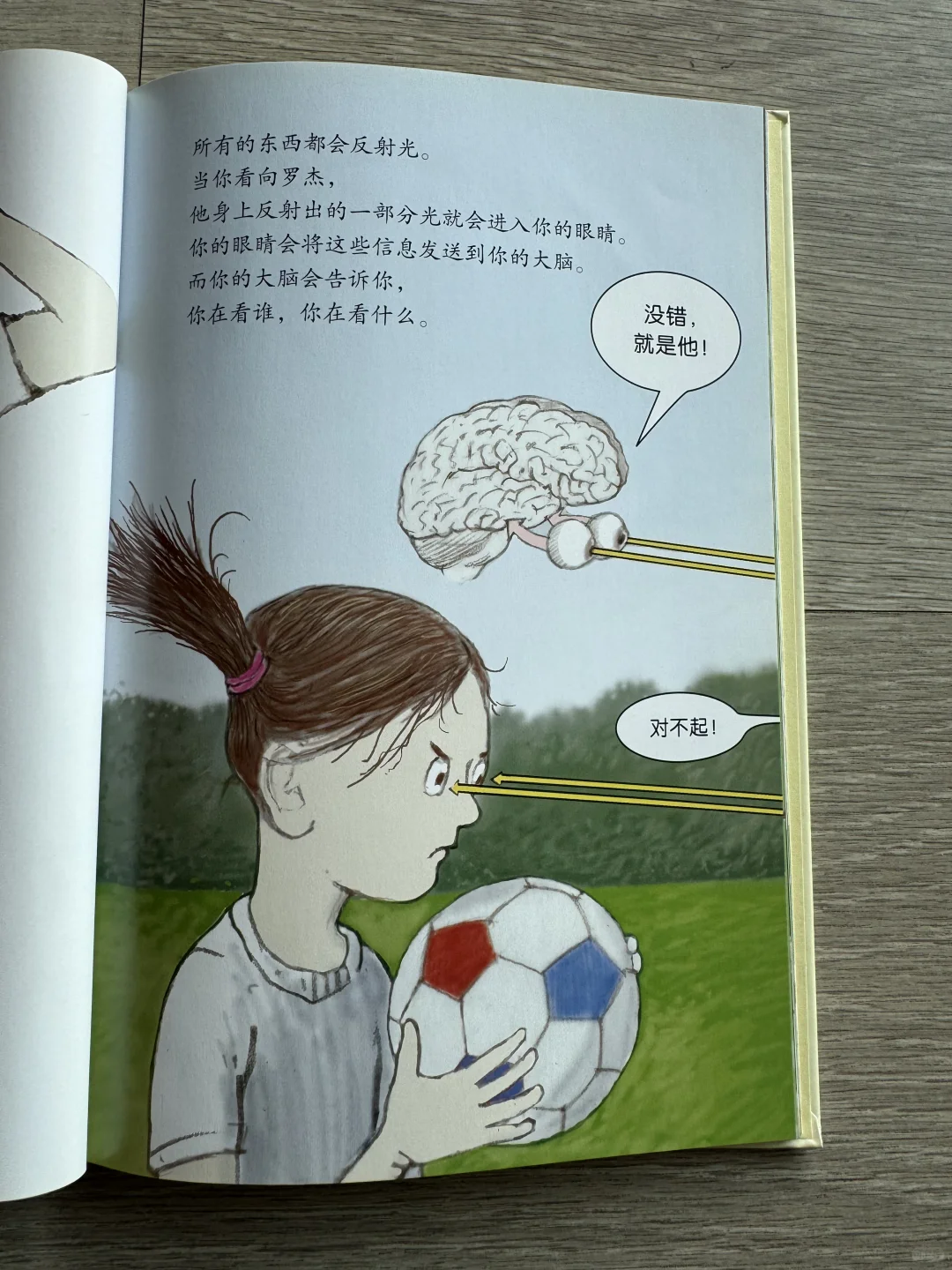 买过很有用的绘本（第11本）