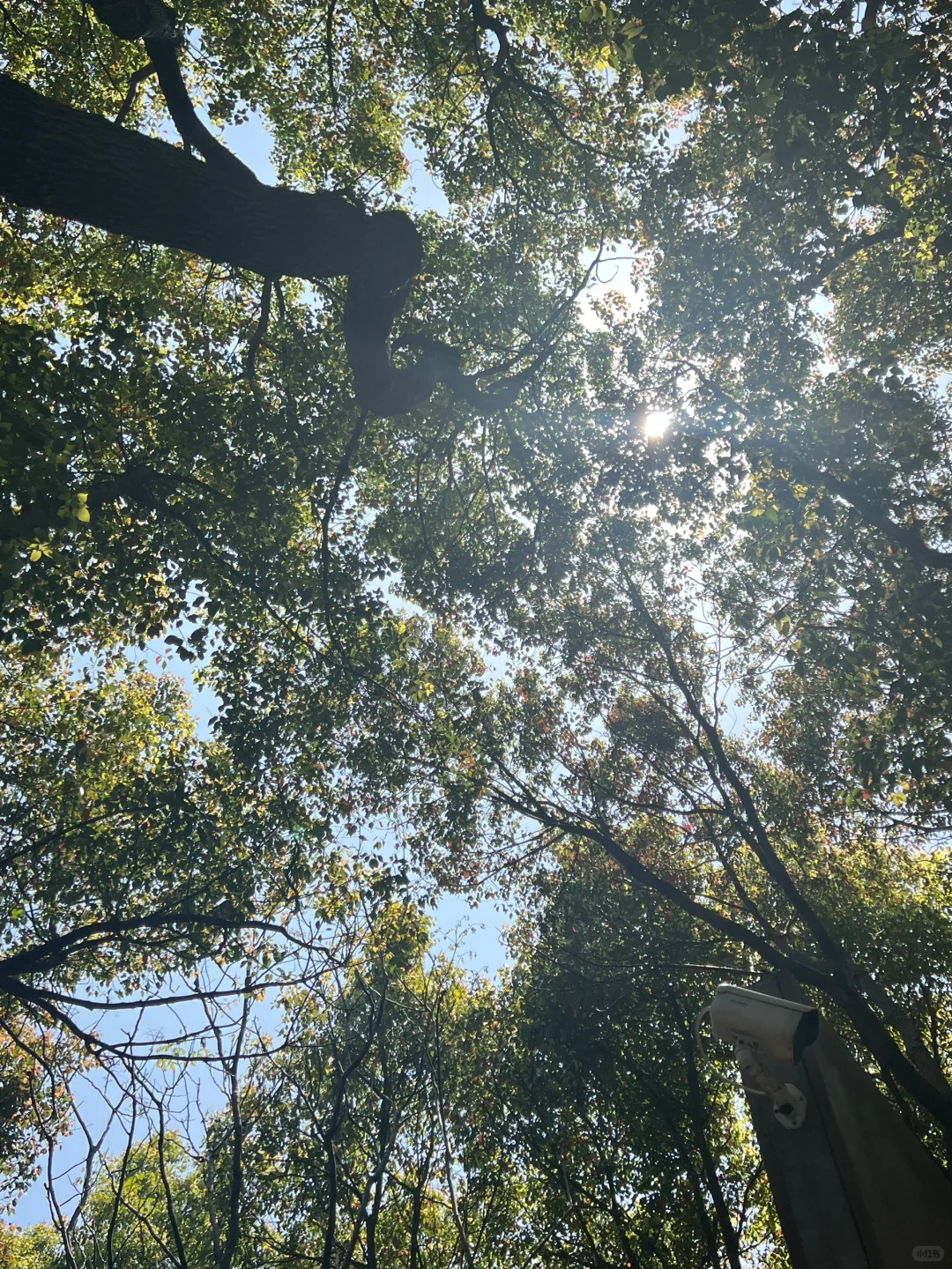 阅读，越不功利，越自由