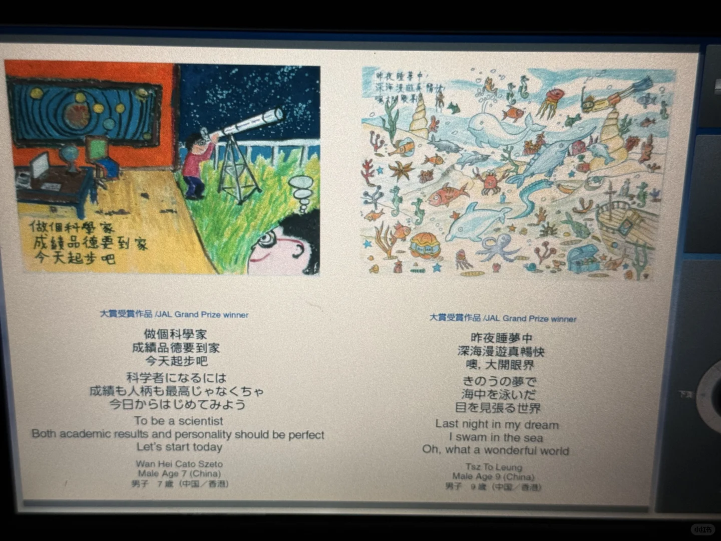 你读过飞机上的电子书吗