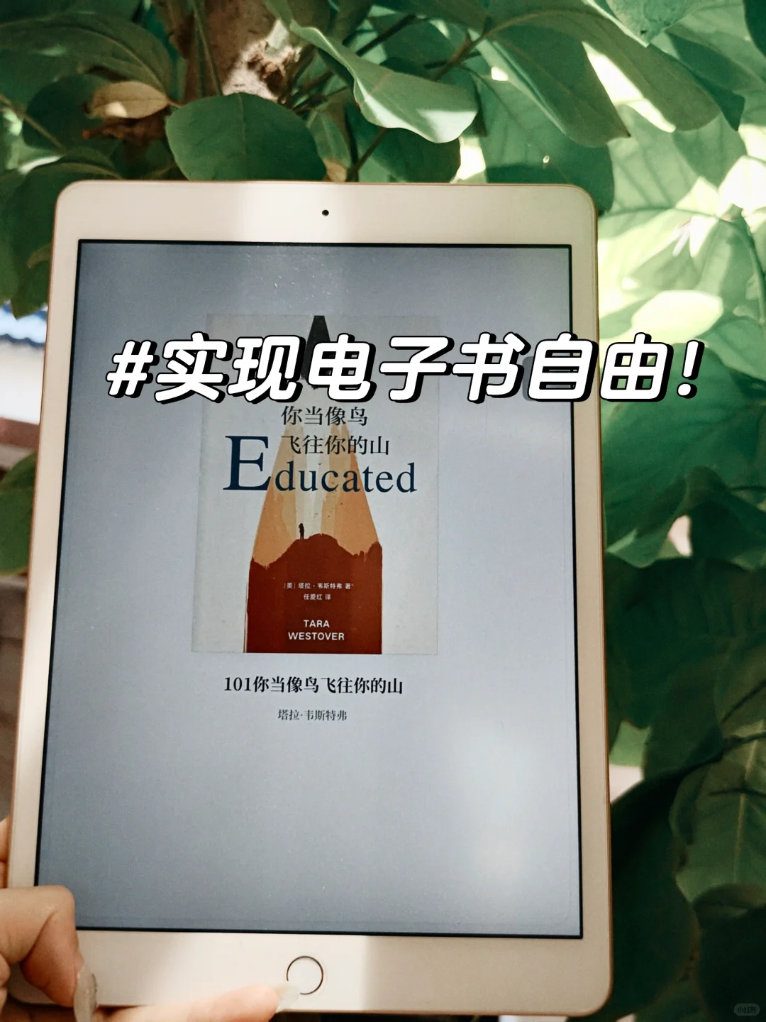 实现电子书自由，我的精神世界在狂飙🚀