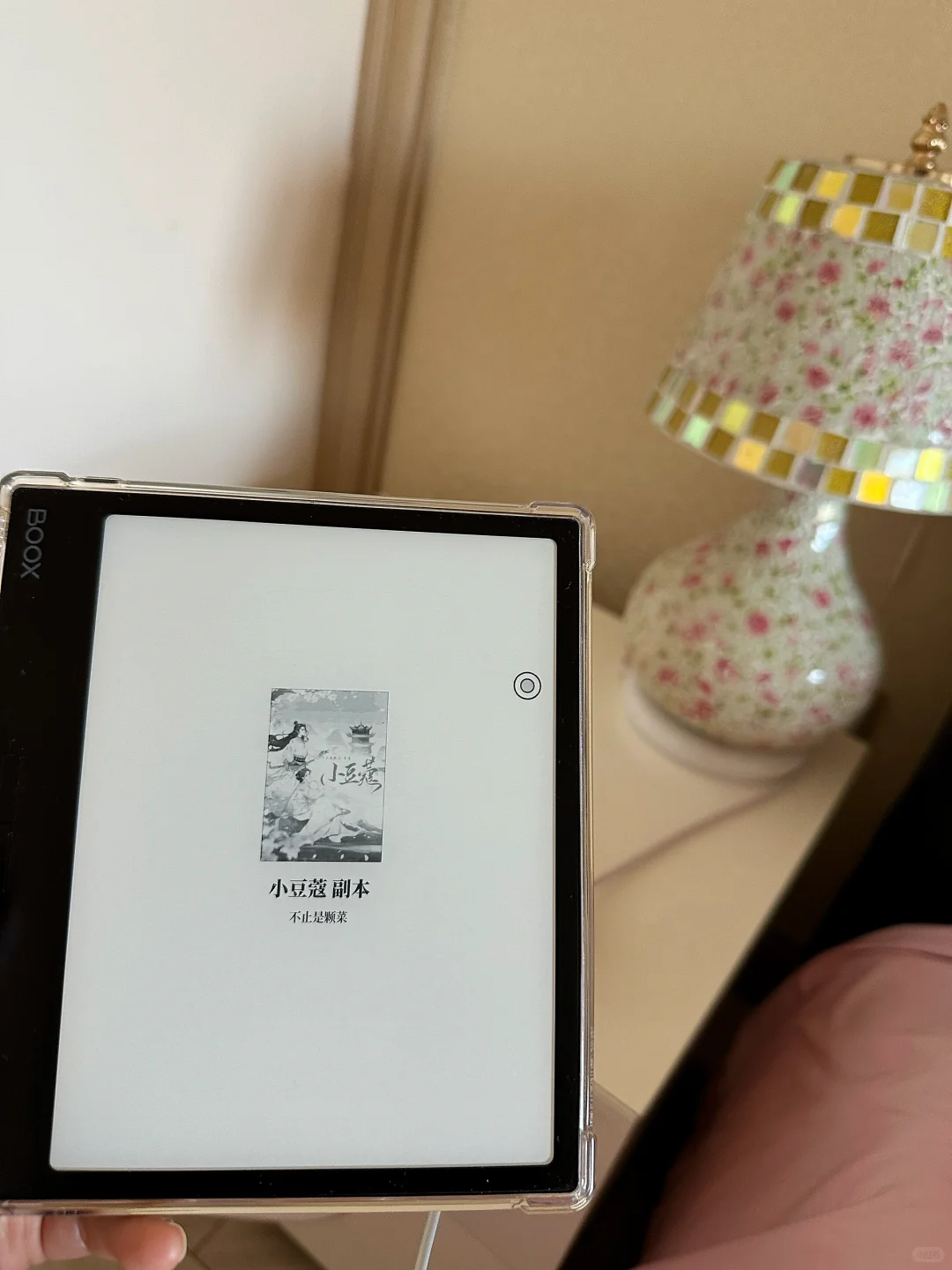 韶华若锦的原著 小豆蔻