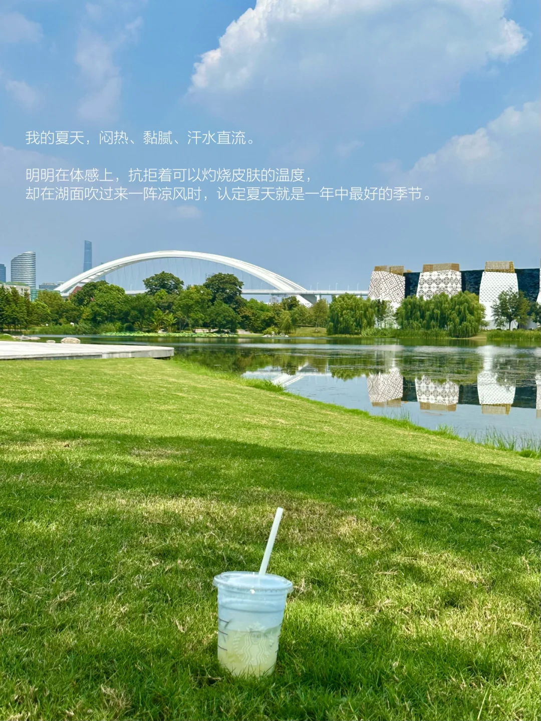 坐在草坪上阅读的休息日