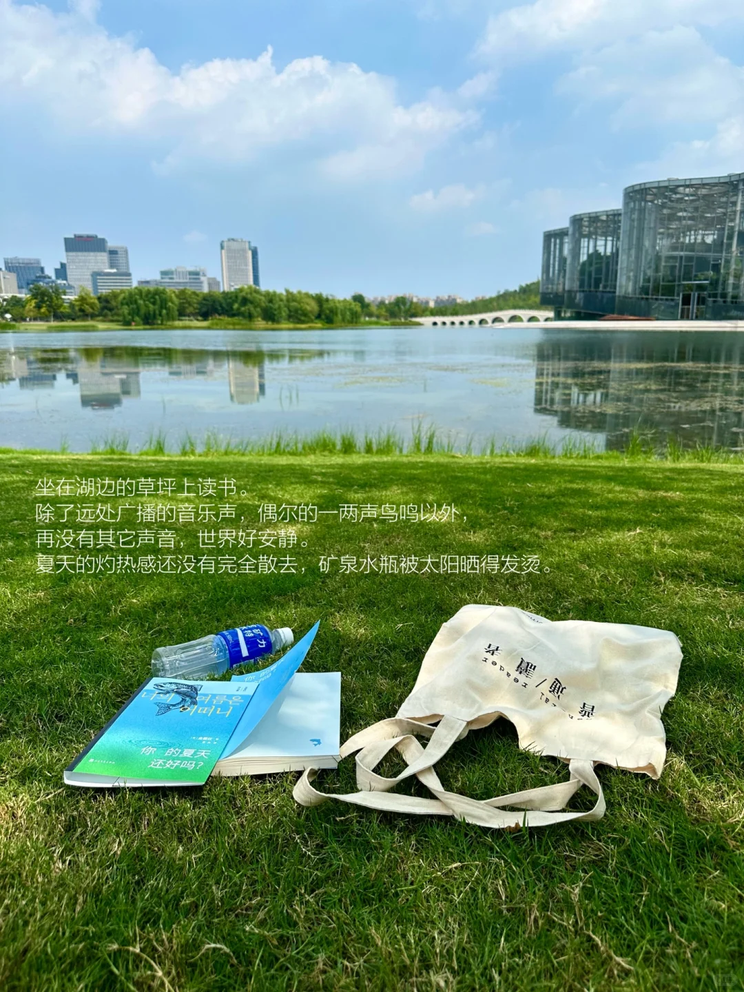 坐在草坪上阅读的休息日