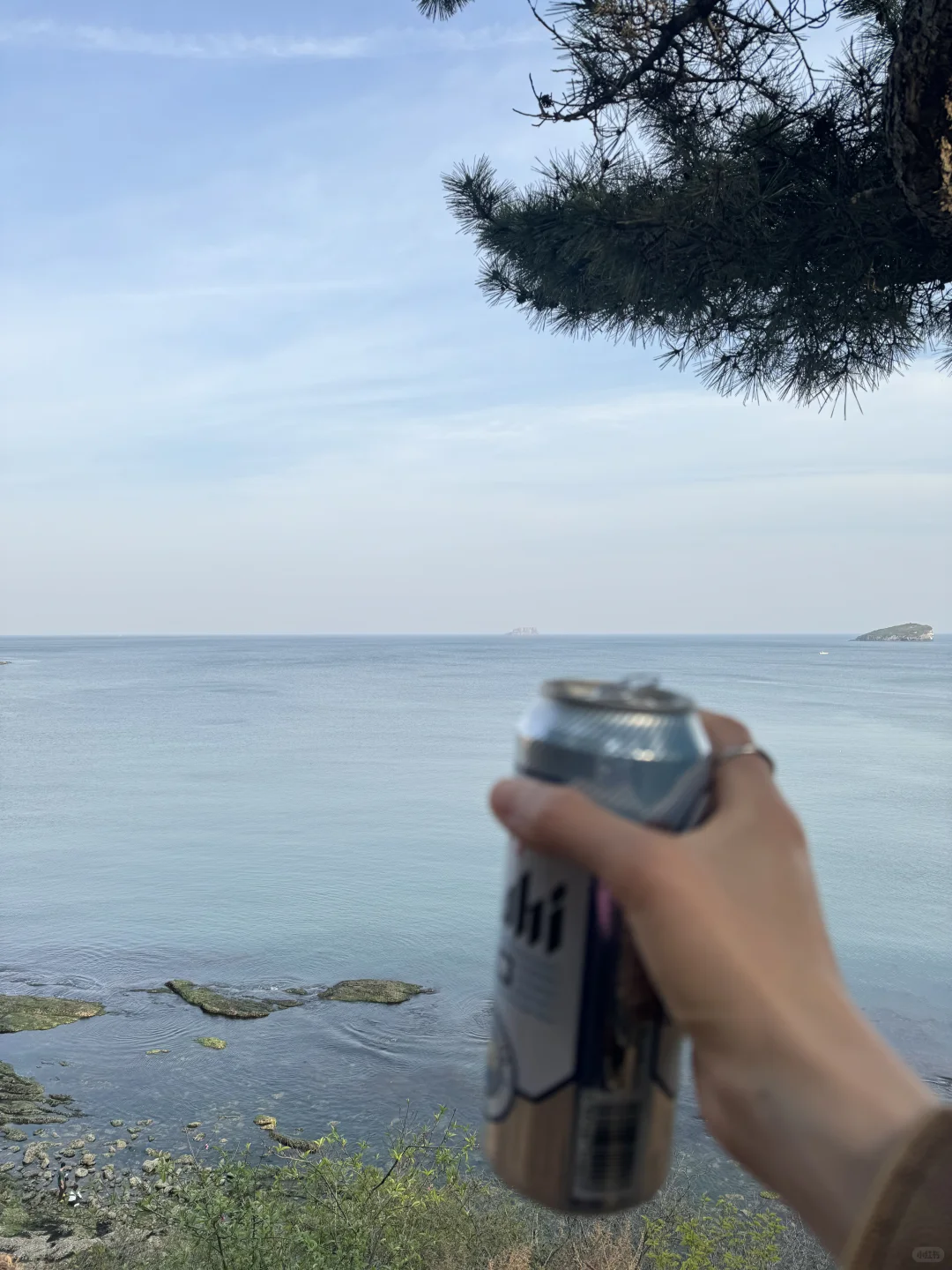 周末只干一件事 带着啤酒去海边看闲书📖