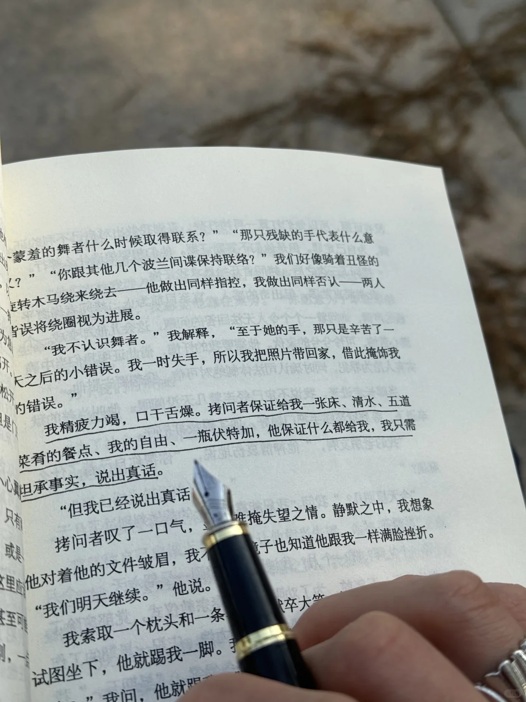 周末只干一件事 带着啤酒去海边看闲书📖
