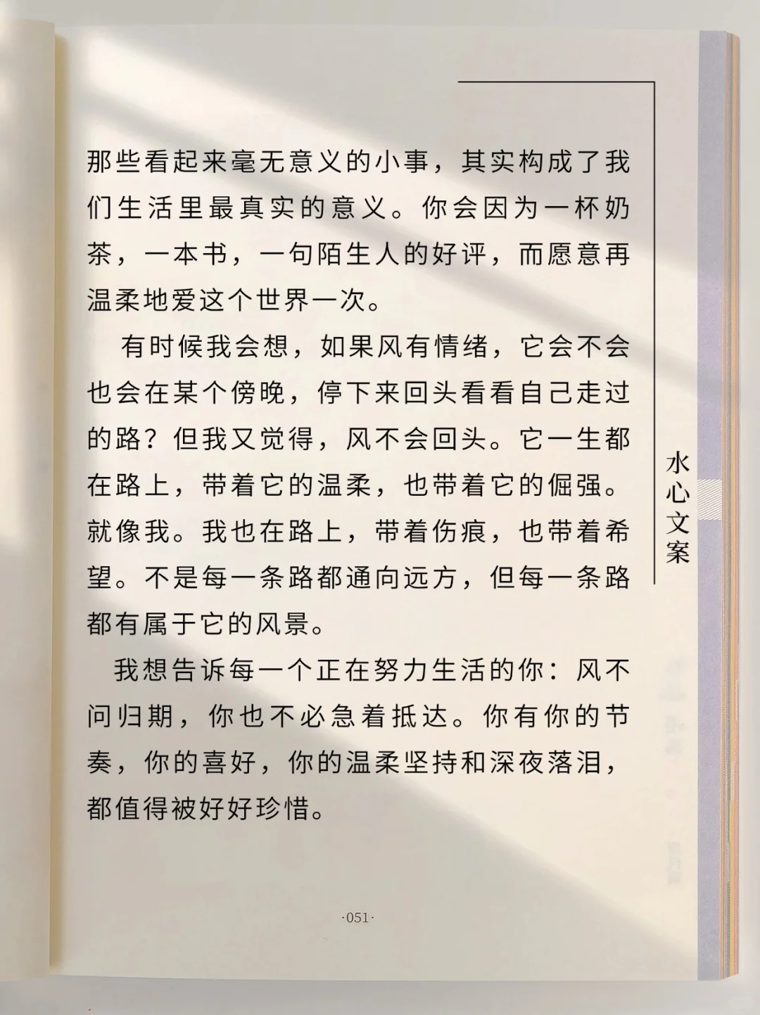 原创散文 ‖风有风的自由，我有我的追求