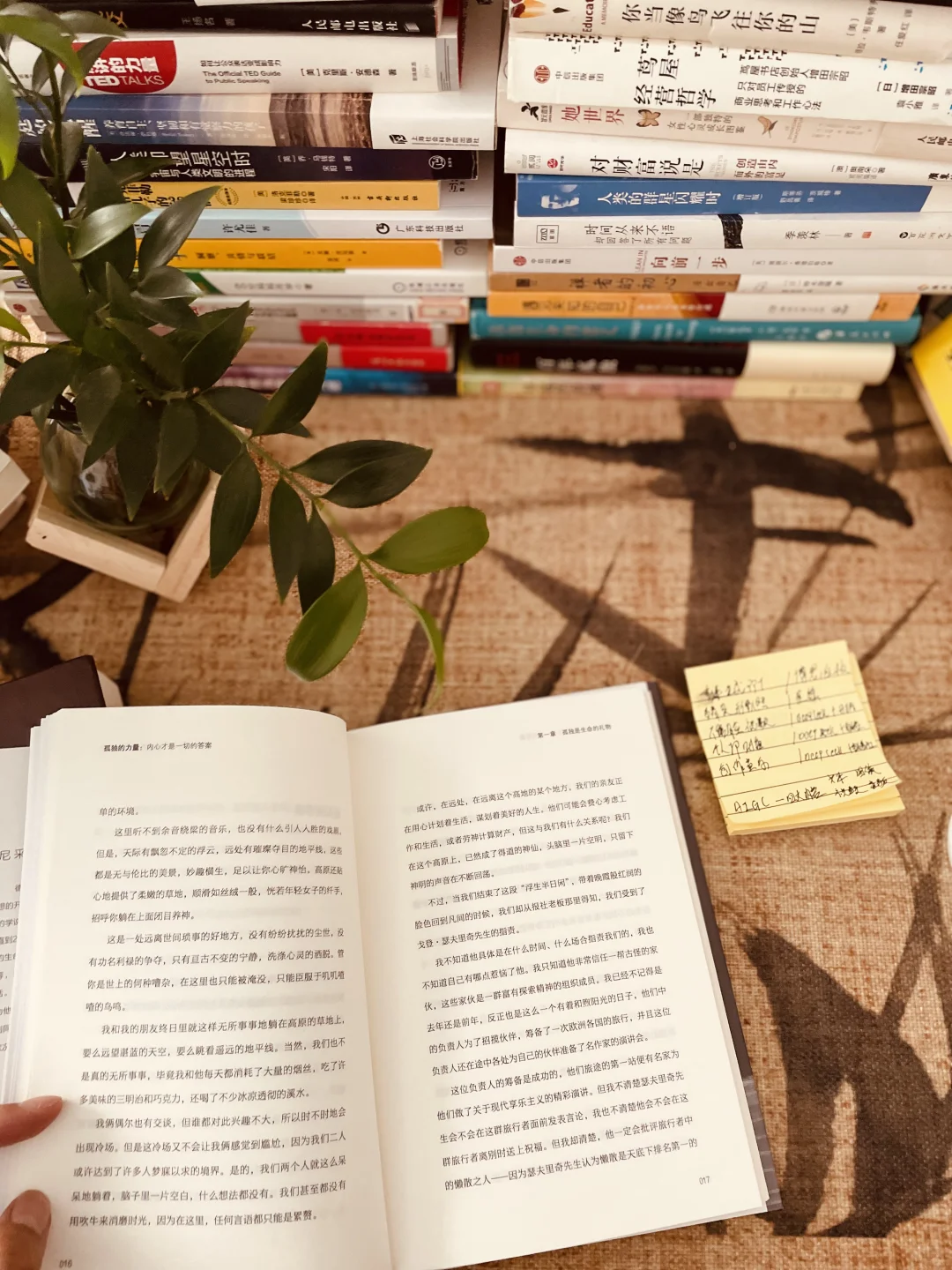 不上班后，我把自己埋进了书堆里 | 自由生活