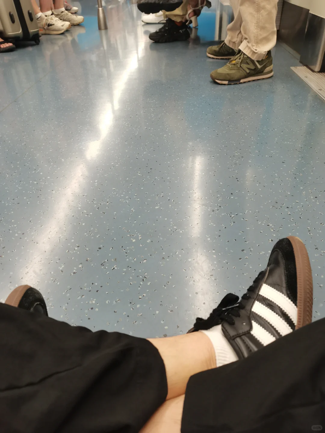 自由人生