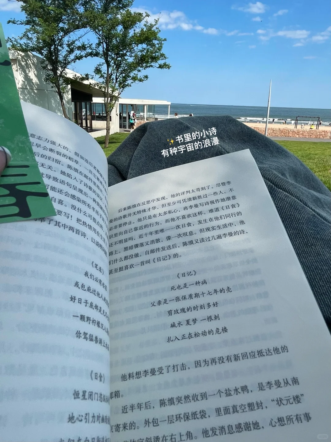 周末野读（餐）🥯🍌