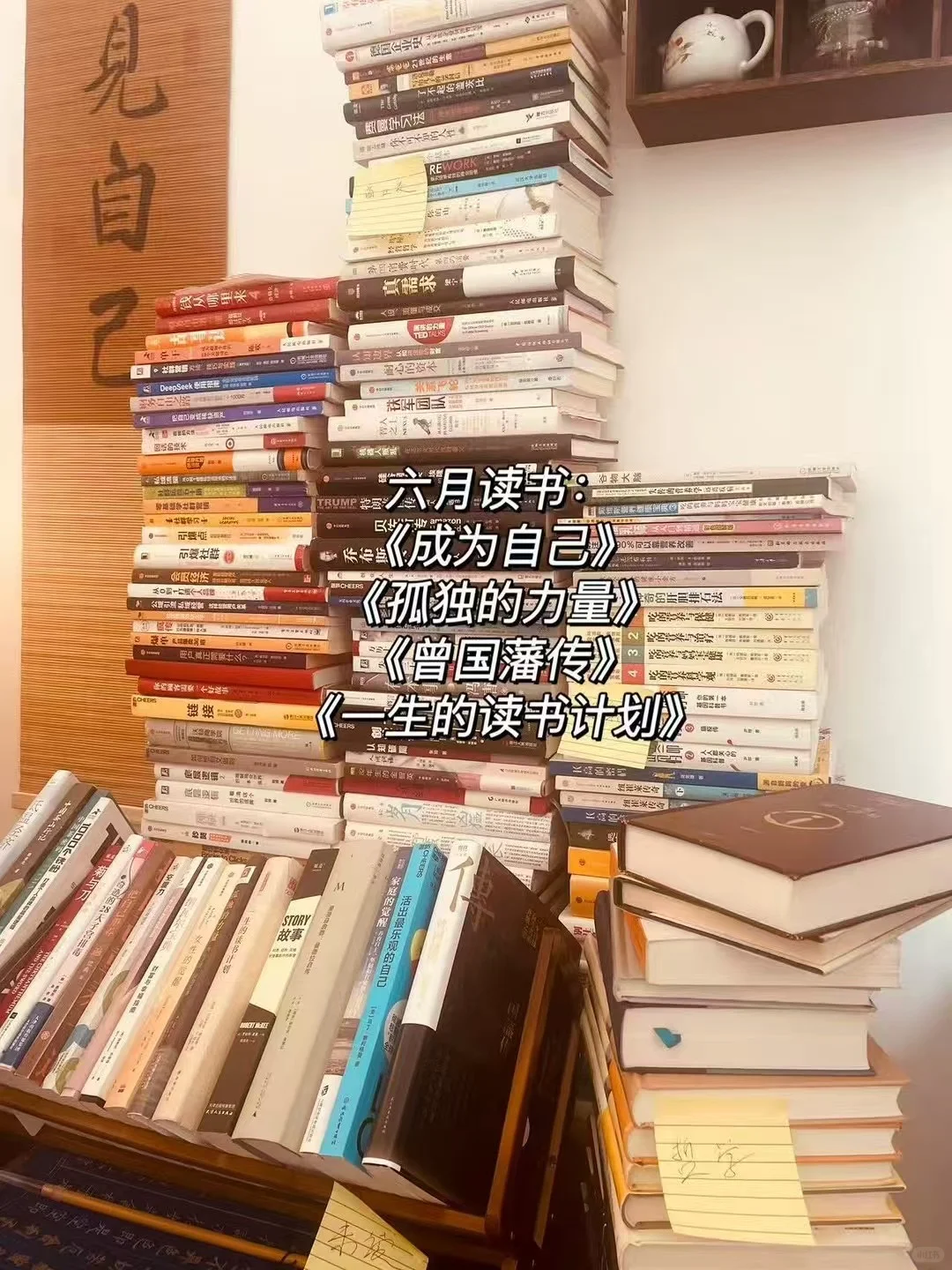 不上班后，我把自己埋进了书堆里 | 自由生活