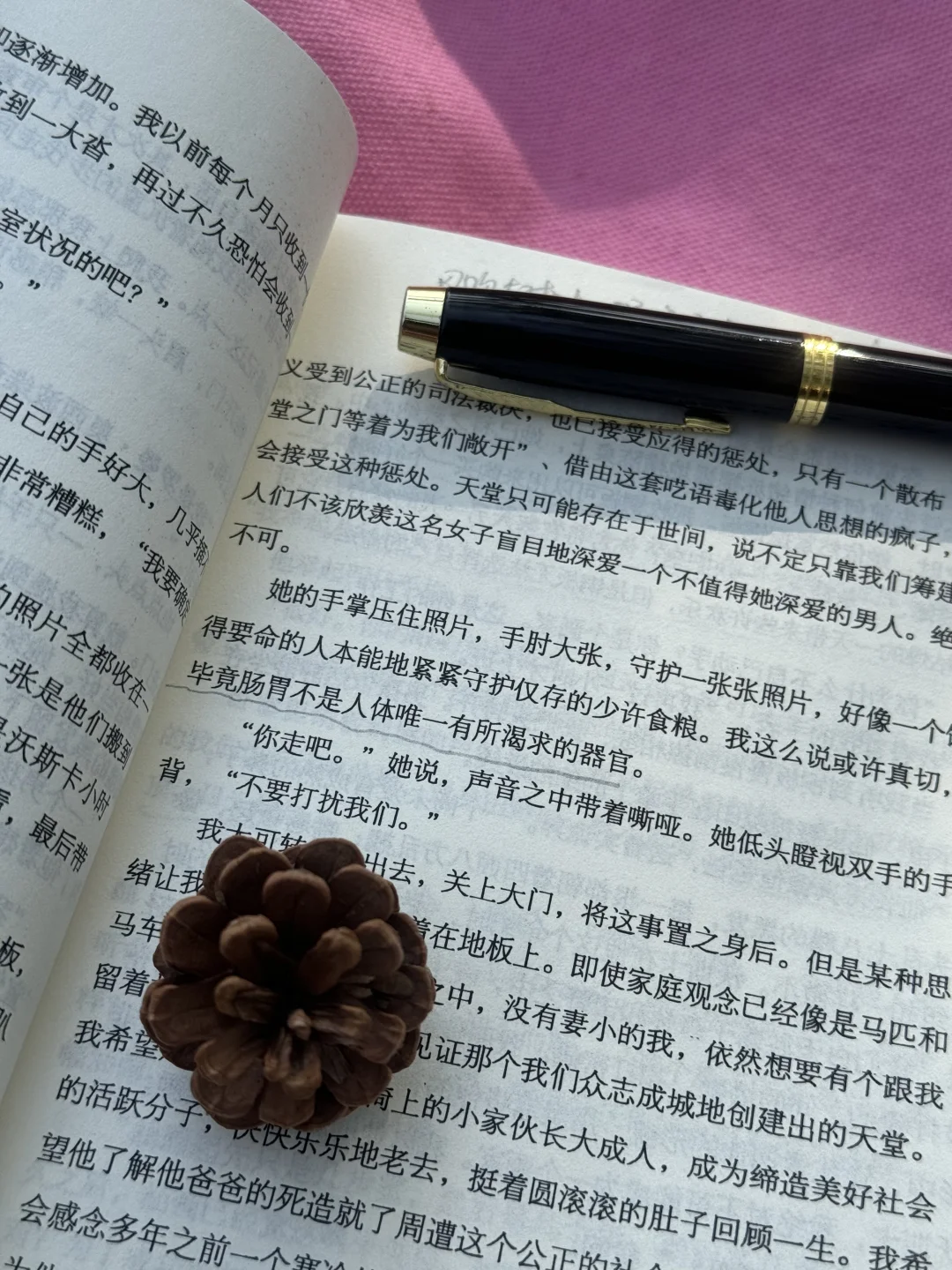 周末只干一件事 带着啤酒去海边看闲书📖