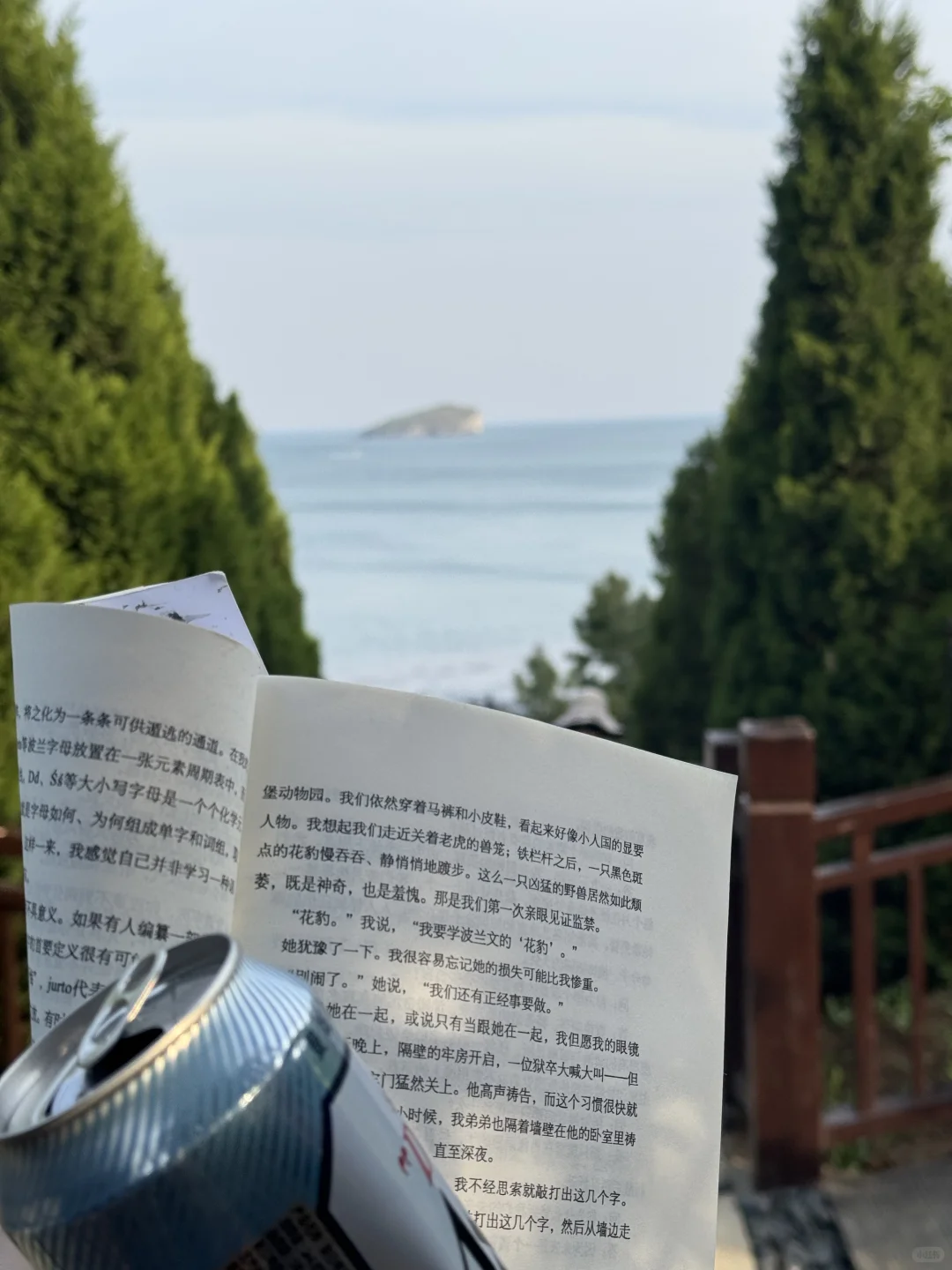 周末只干一件事 带着啤酒去海边看闲书📖