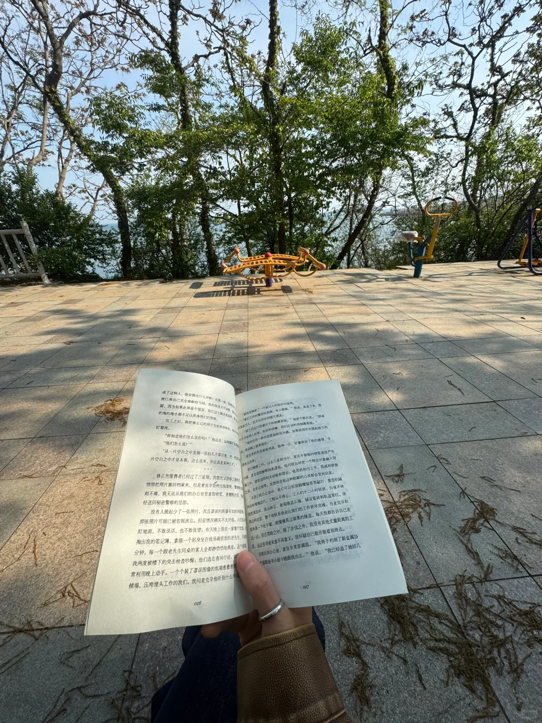 周末只干一件事 带着啤酒去海边看闲书📖