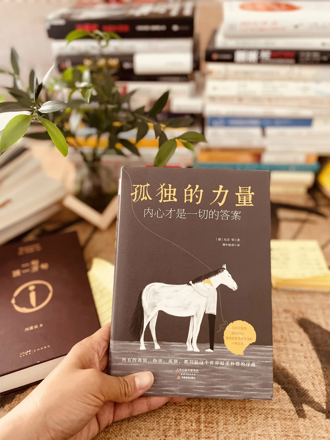 不上班后，我把自己埋进了书堆里 | 自由生活