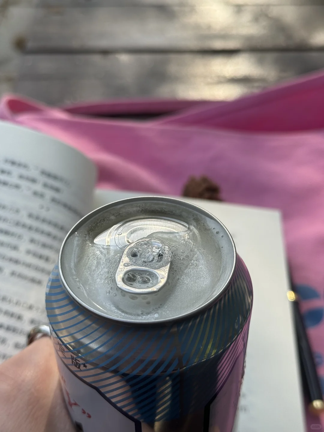 周末只干一件事 带着啤酒去海边看闲书📖