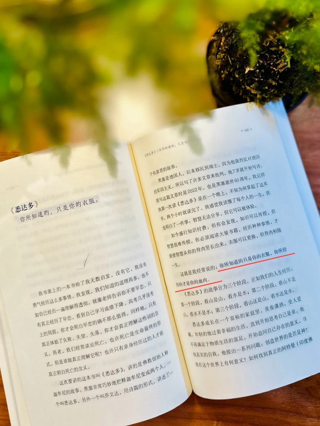 无论你读过哪部经典文学，都要来读这一本