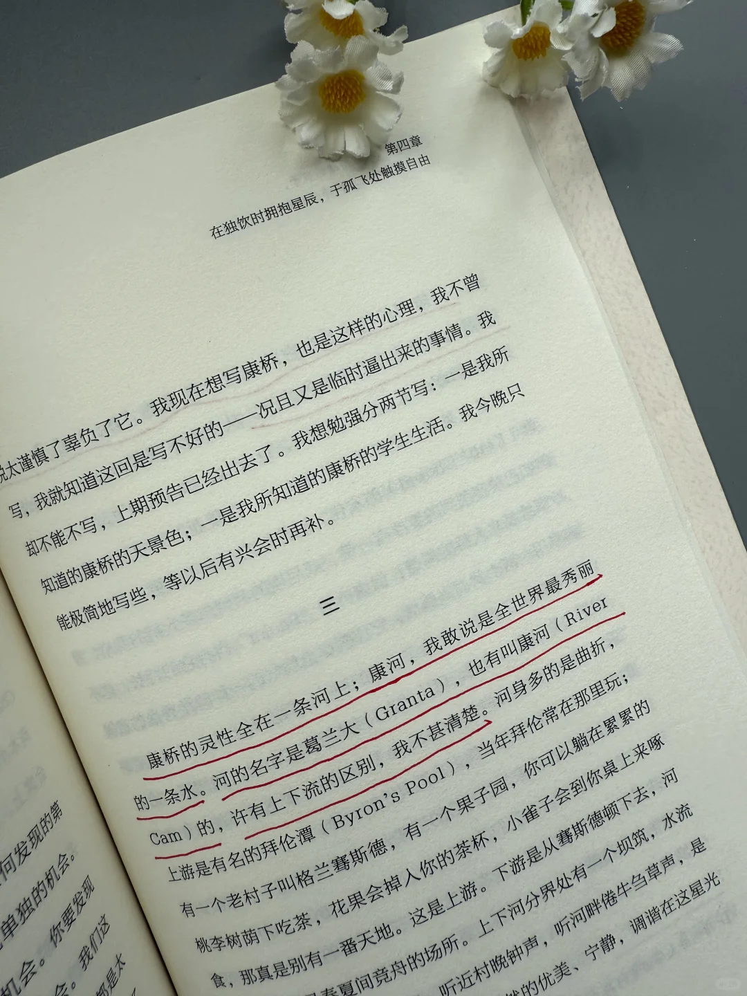 想文笔好，这本散文书越早知道越好！