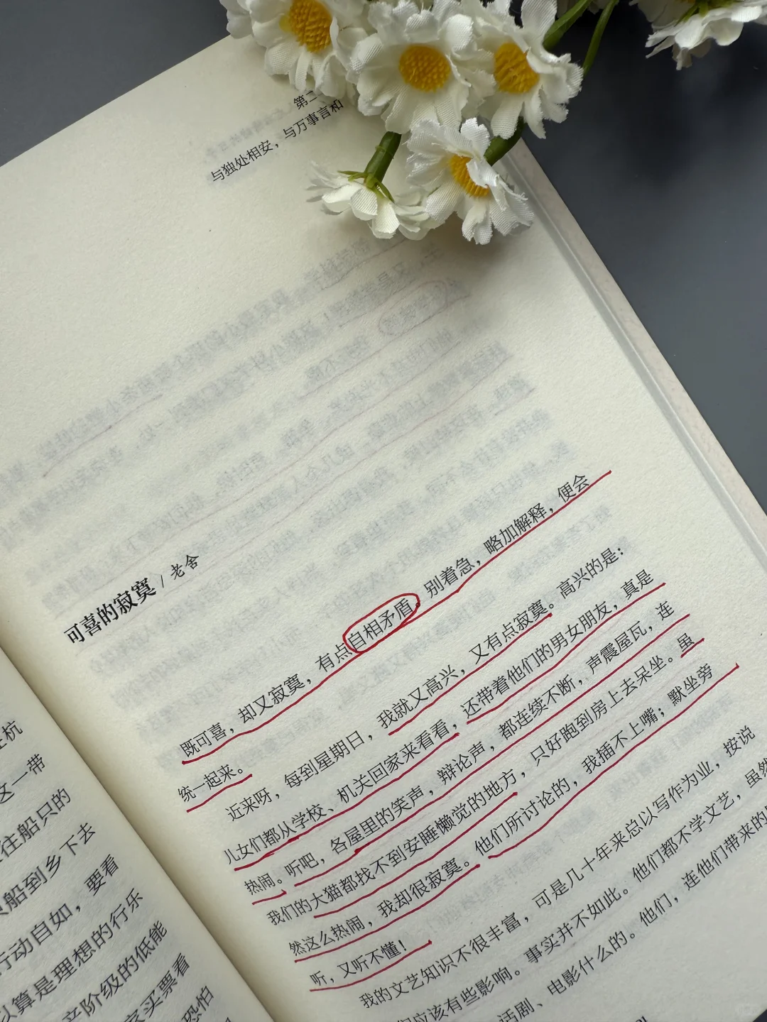 想文笔好，这本散文书越早知道越好！