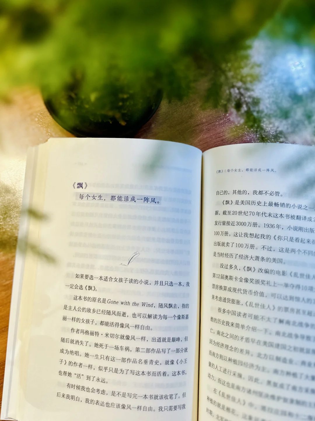 无论你读过哪部经典文学，都要来读这一本