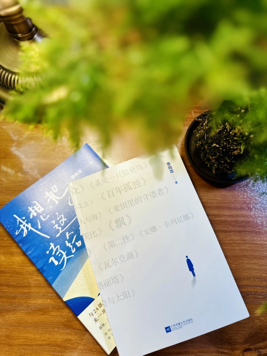 无论你读过哪部经典文学，都要来读这一本