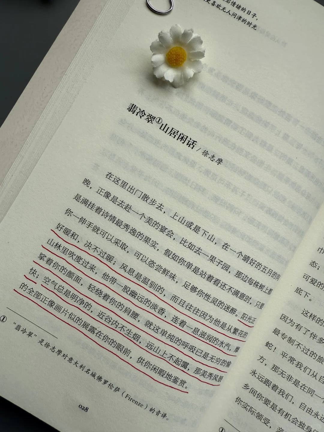 想文笔好，这本散文书越早知道越好！