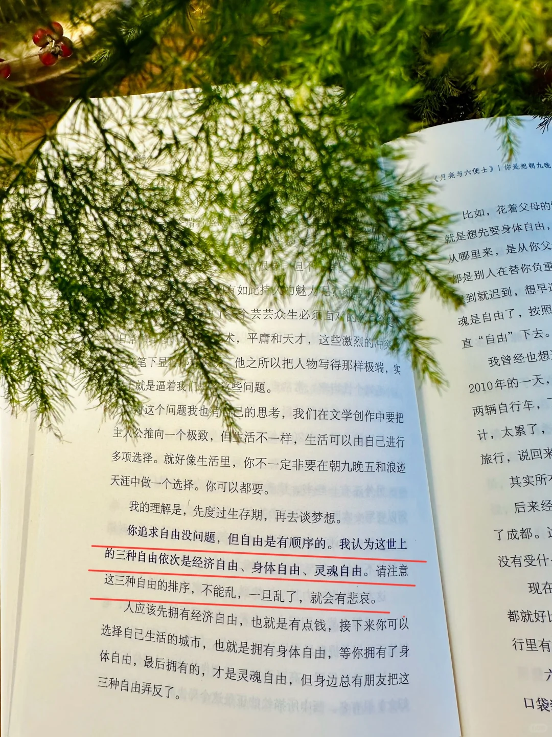 无论你读过哪部经典文学，都要来读这一本