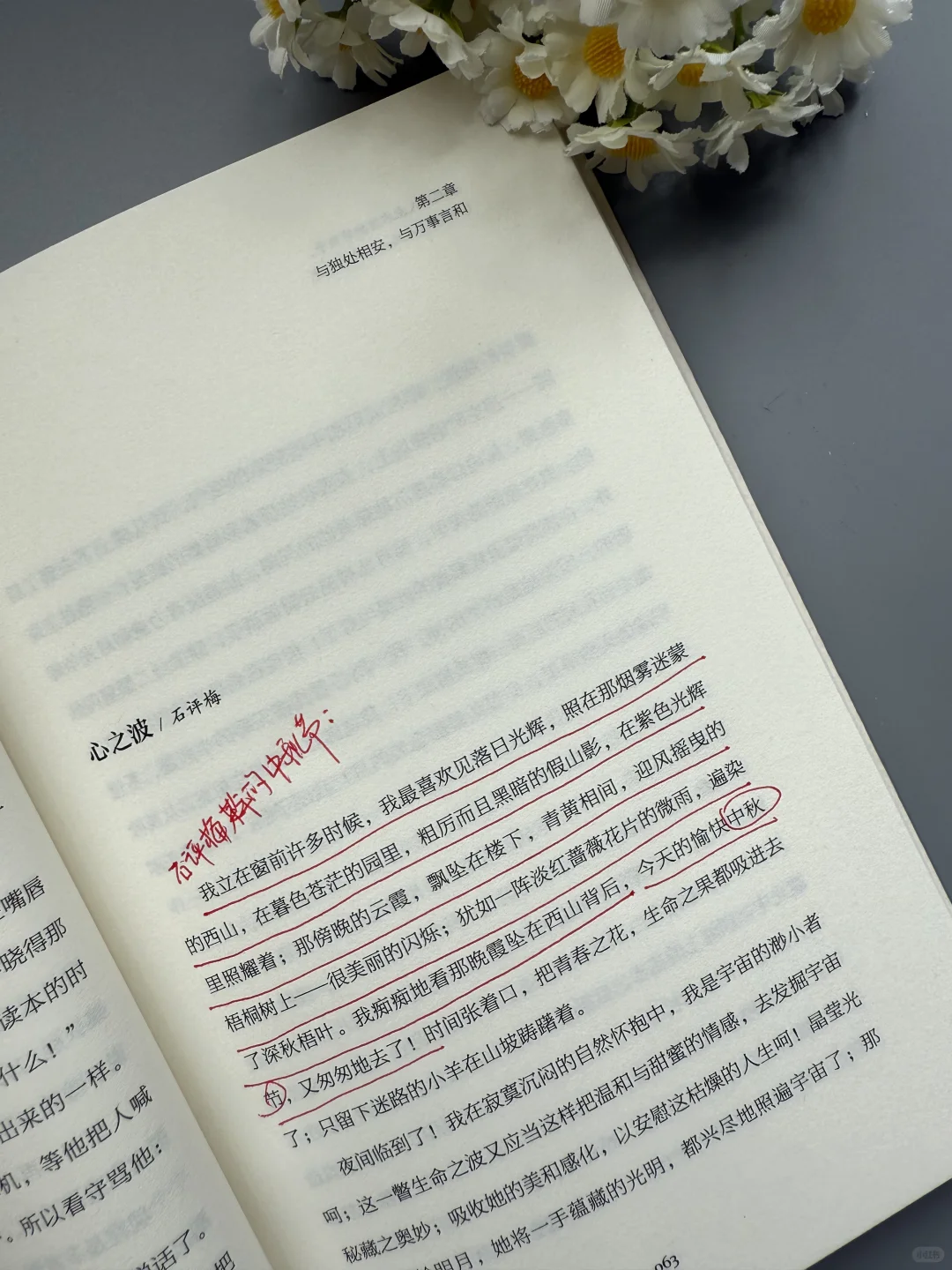 想文笔好，这本散文书越早知道越好！