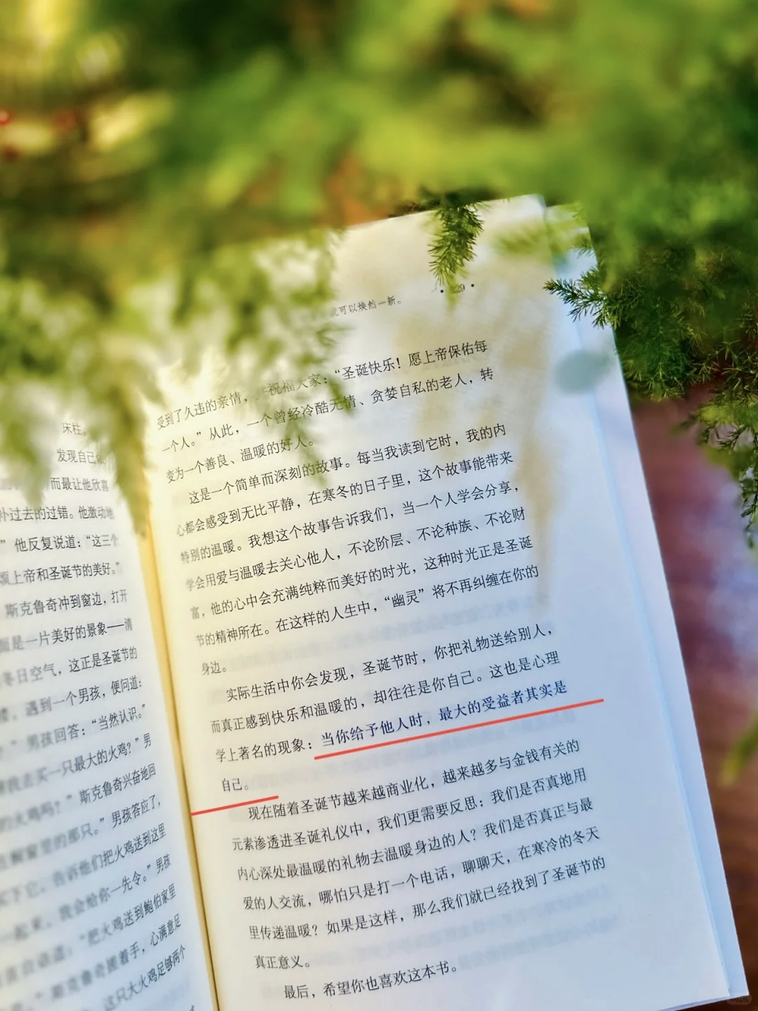 无论你读过哪部经典文学，都要来读这一本