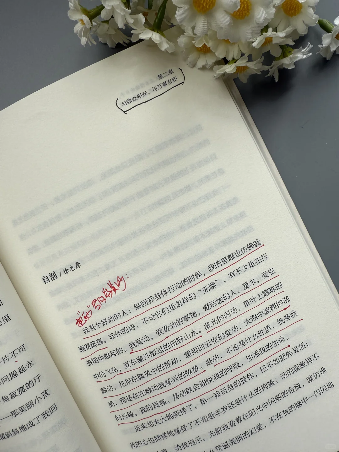想文笔好，这本散文书越早知道越好！