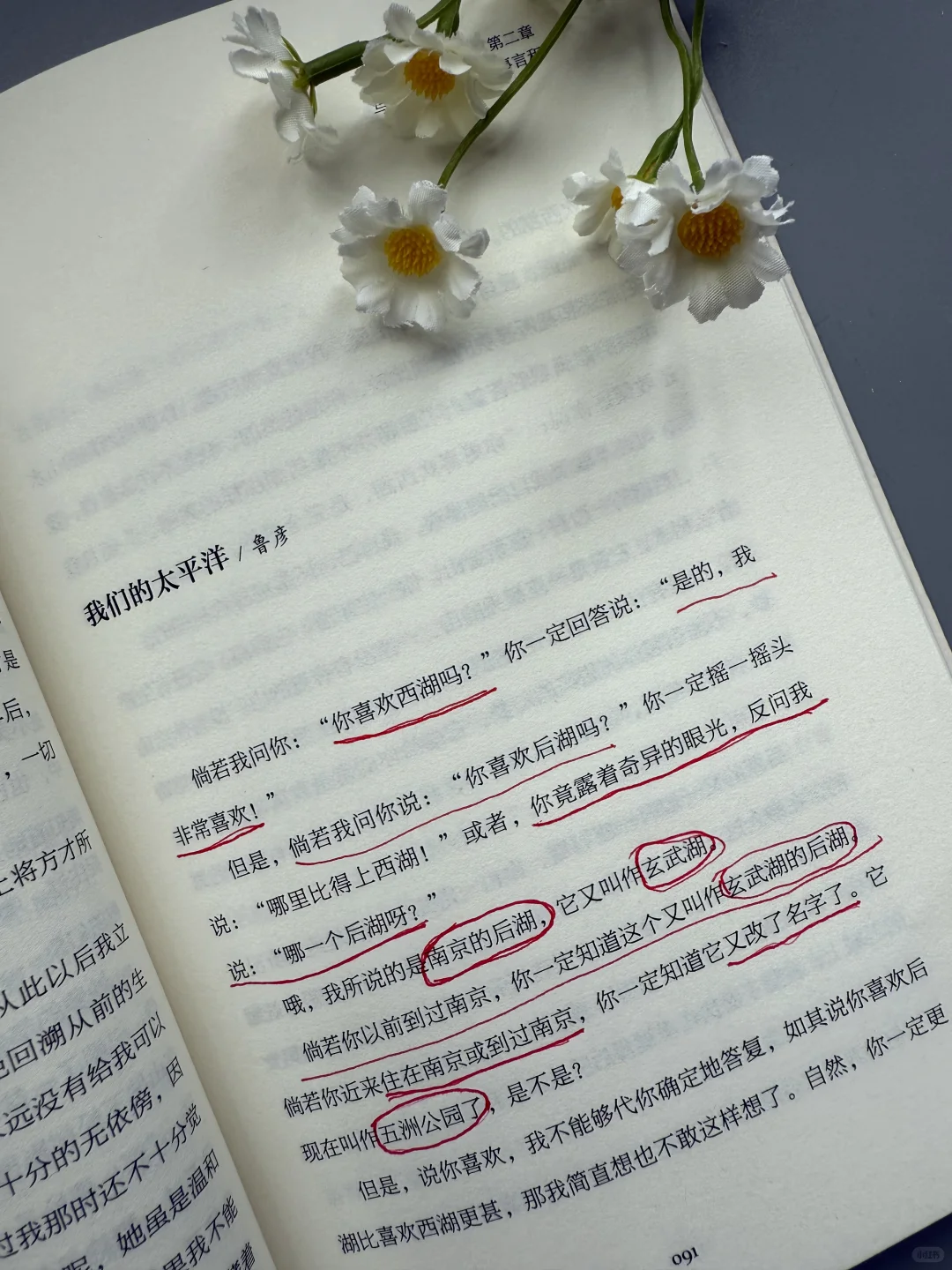 想文笔好，这本散文书越早知道越好！