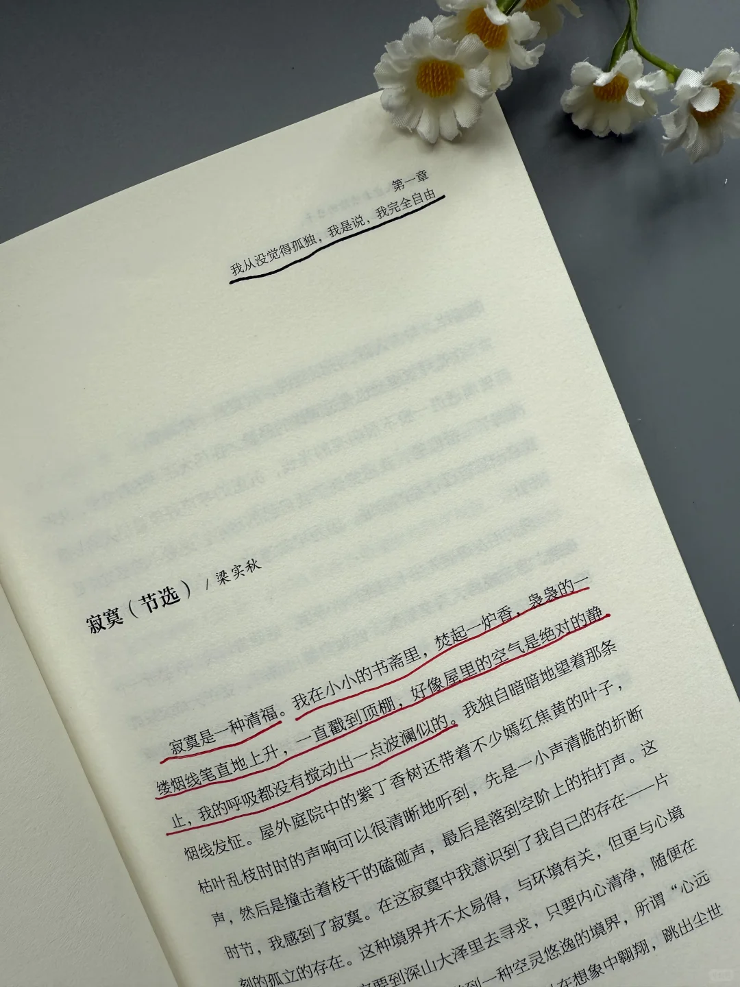 想文笔好，这本散文书越早知道越好！